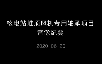 核电站堆顶风机专用轴承项目
